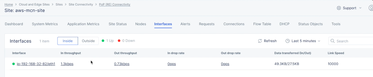 Figure: Site Dashboard Interfaces View